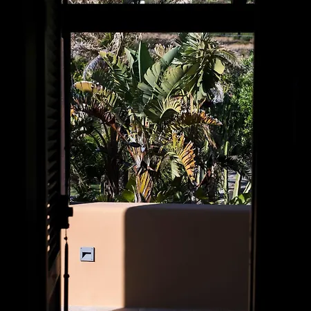 Calypso Pantelleria